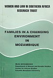 Families in a Changing Environment: Book cover