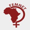 Logo da Femnet