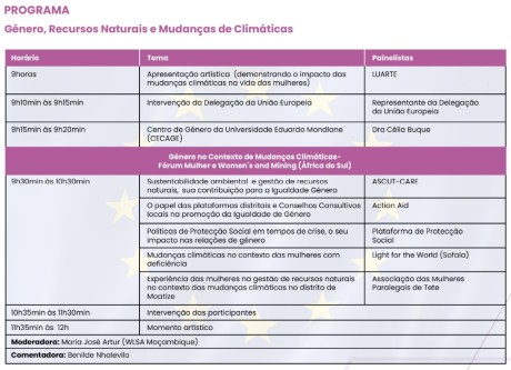 Programa do webinar