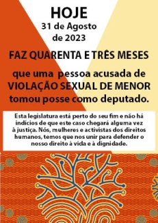 Niquice não nos representa! artaz da WLSA